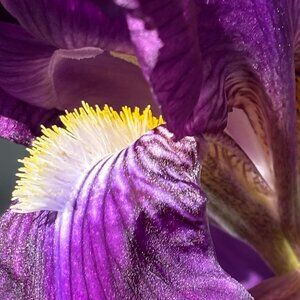 Bundle 2 Items or More and save 10% or and potentially more!